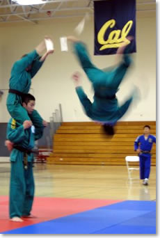 2008 Yongmudo Demonstration