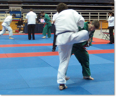 Yongmudo Throw