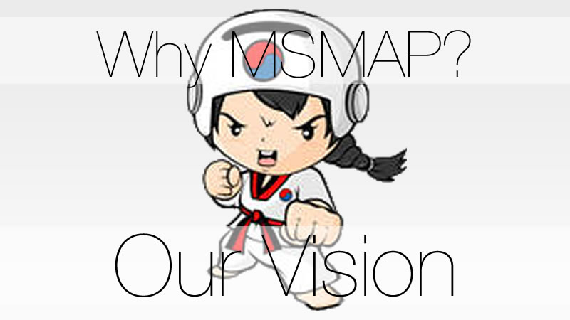 Why MSMAP
