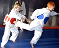 2014 Taekwondo Winter Promotion Exam