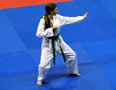2012 UC Open Taekwondo Championships